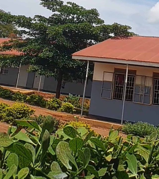 kapeke seed ss compound